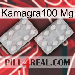 Kamagra100 Mg 17